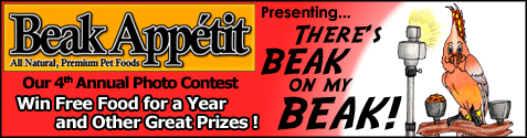 Beak Appetit Contest